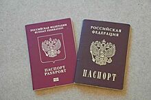 Госпошлину для получения гражданства РФ отменили для беженцев с Донбасса