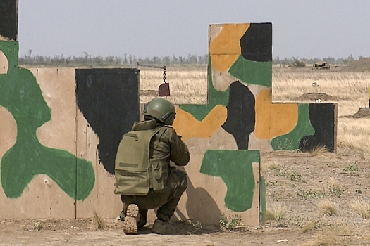 В Челябинске откроют районные центры помощи бойцам СВО