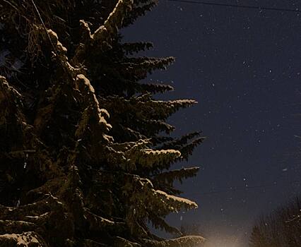 Стало известно выпадет ли снег в Новосибирске на этой неделе
