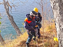 На российского романтика заявила в полицию мэрия города. Что он сделал