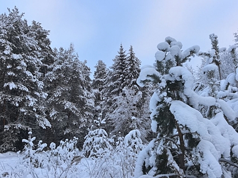 Из Екатеринбурга на легендарный перевал Дятлова отправилась лыжная экспедиция