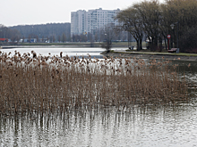Москвичам пообещали холодный апрель