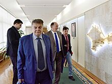 Европейские депутаты рассказали об отсутствии в Крыму признаков оккупации