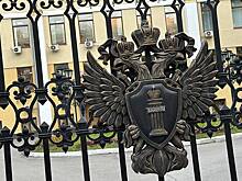 Дело о призывах к терроризму возбудили против правнучки Чкалова