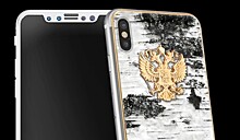 Корпус нового iPhone сделают из бересты