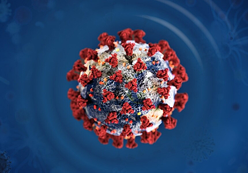 Коронавирус мутировал и стал ещё опаснее