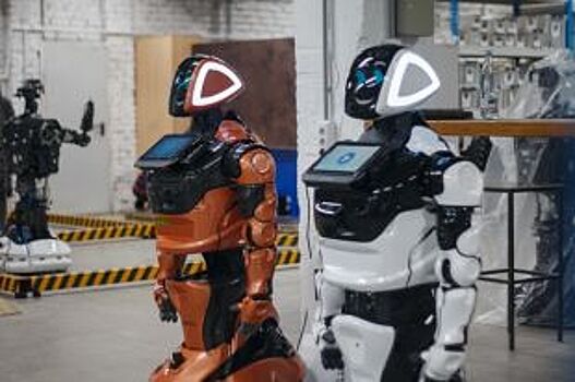 Во Владимирской области появился первый робот-администратор отеля