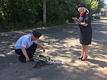 Орловская автоинспекция за плохие дороги выписала 80 штрафов