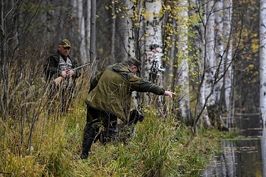 Сезон охоты в Калужской области приостановлен до середины октября