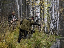 Сезон охоты в Калужской области приостановлен до середины октября
