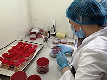 Лабораторная служба ЧОКБ отметит профессиональный праздник