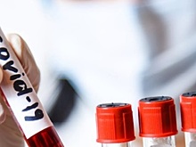 Названы районы Брянской области с наибольшим количеством заражений COVID-19