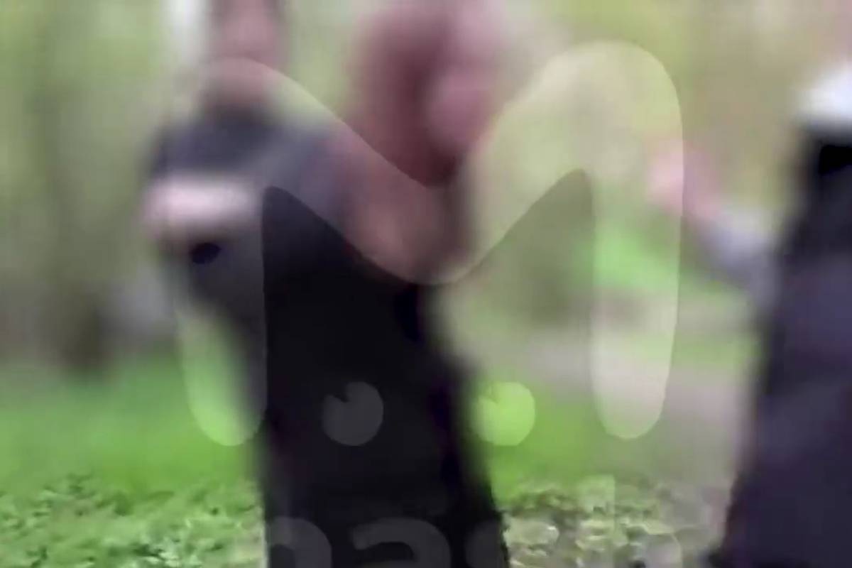 Российские шестиклассники жестоко избили одноклассницу из-за нюдсов