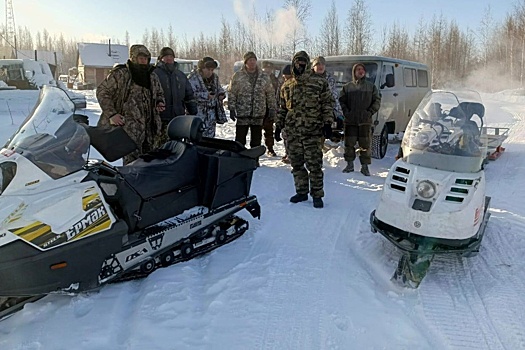 В Приамурье отогнали от поселка волков, пугавших жителей