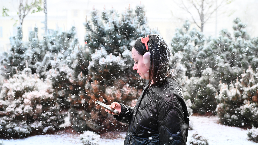 В Кремле отреагировали на массовое отключение мобильного интернета в регионах