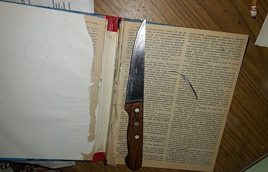 Жительница Качканара пыталась скрыть убийство, спрятав нож в книге