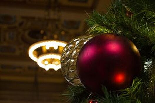 В станице Ханской пройдет закрытие Новогодней елки