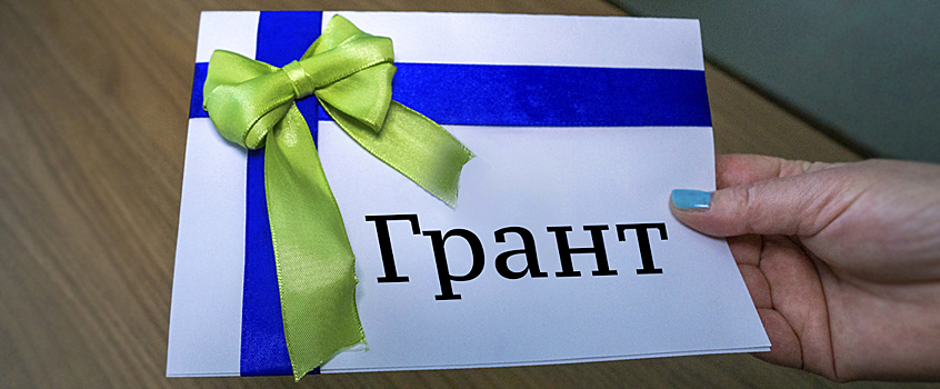 Гранты в 6,5 млн рублей получат 13 молодых ученых Удмуртии