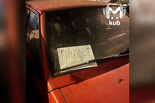 В Краснодаре сантехник запер двух собак в автомобиле на несколько недель