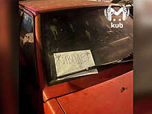 В Краснодаре сантехник запер двух собак в автомобиле на несколько недель