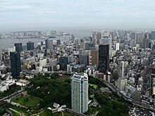 В Японии выросли продажи роботов, заменяющих домашних питомцев