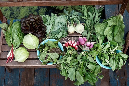 «Органическое питание детей и подростков вне дома» - семинар с международным участием