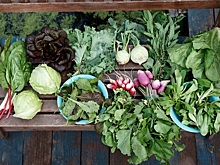 «Органическое питание детей и подростков вне дома» - семинар с международным участием