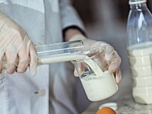 На Ямале обнаружили некачественную молочную продукцию