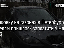 В Петербурге за неделю штрафов за неправильную парковку вынесли более чем на 4 млн рублей