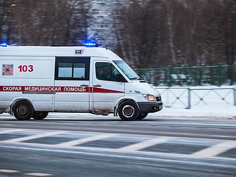 Четыре человека погибли в ДТП в Пензенской области