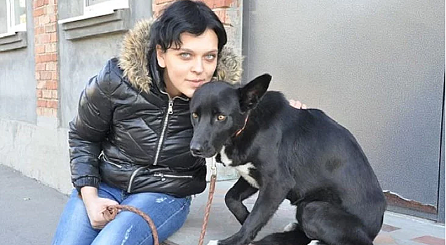 Ради чего собака пробежала 321 км?