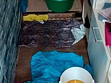 Жители дома на Кирова, 28 второй месяц вычерпывают воду из квартир