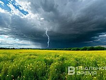 Гидрометцентр Татарстана предупредил об ухудшении погоды 17 мая