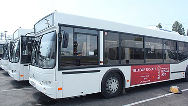 В Сочи до Олимпийского парка пустят автобусы с кондиционером
