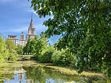 Экскурс в историю: узнаем примечательные факты из жизни Ботанического сада МГУ