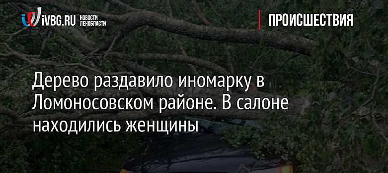 Дерево раздавило иномарку в Ломоносовском районе. В салоне находились женщины