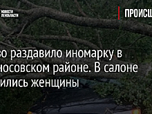 Дерево раздавило иномарку в Ломоносовском районе. В салоне находились женщины