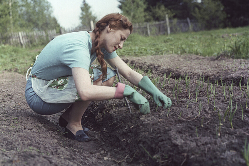 Балерина Майя Плисецкая на даче в Подмосковье, 1 июня 1962 года