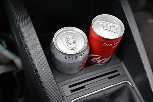 Водителей призвали не оставлять три вещи в салоне автомобиля зимой