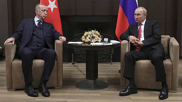 Политолог рассказал, какие темы затронут Путин и Эрдоган во время переговоров