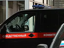 Мигранты осквернили мемориал в Тульской области