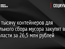Почти тысячу контейнеров для раздельного сбора мусора закупят в Ленобласти за 26,5 млн рублей