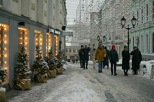 Стало известно, когда сойдет снежный покров в Москве