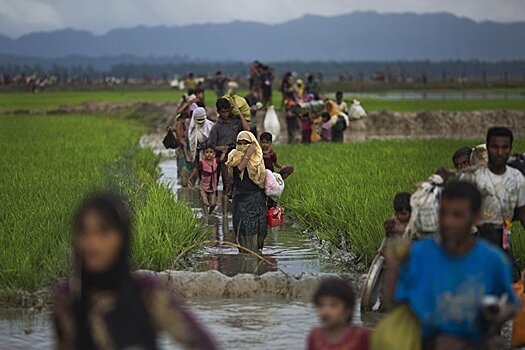 Рохинья: гуманитарный кризис, требующий политического решения