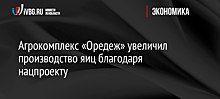 Агрокомплекс «Оредеж» увеличил производство яиц благодаря нацпроекту