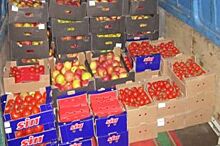За сутки на границе с Псковской области задержаны 34 т фруктов и 3 т мяса