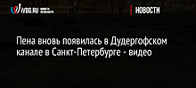 Пена вновь появилась в Дудергофском канале в Санкт-Петербурге - видео