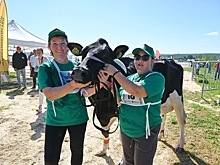 В Удмуртии на фестивале «АгроПро» выбрали лучших коров республики