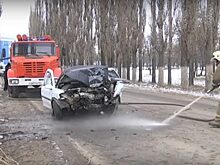 Ливенец пояснил, почему врезался в дерево