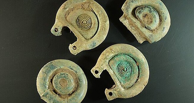 Металлодетектор кладоискателя засек 3000-летний тайник